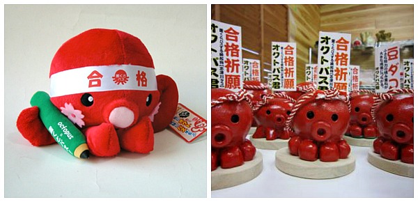 Octopusu portafortuna Octopusu portafortuna